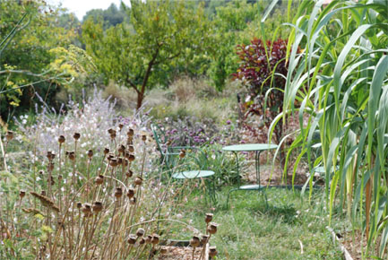 Provencal mediterranean garden
